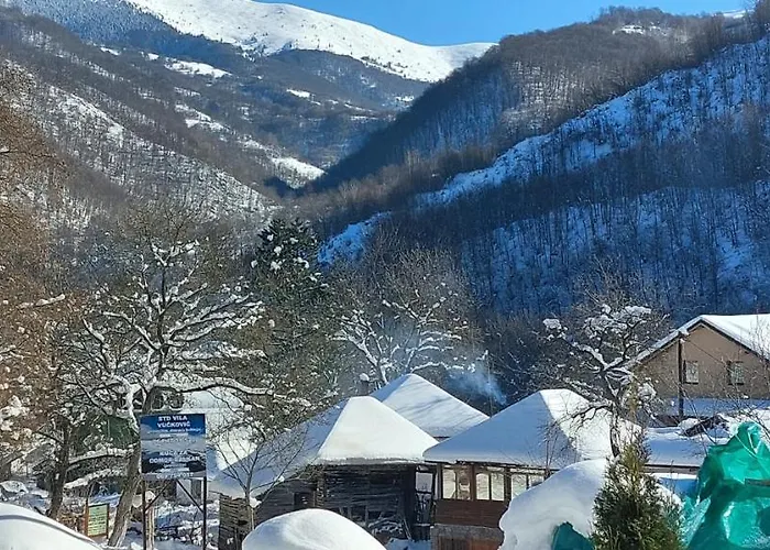 Σπίτι διακοπών Bilyana Crni Vrh